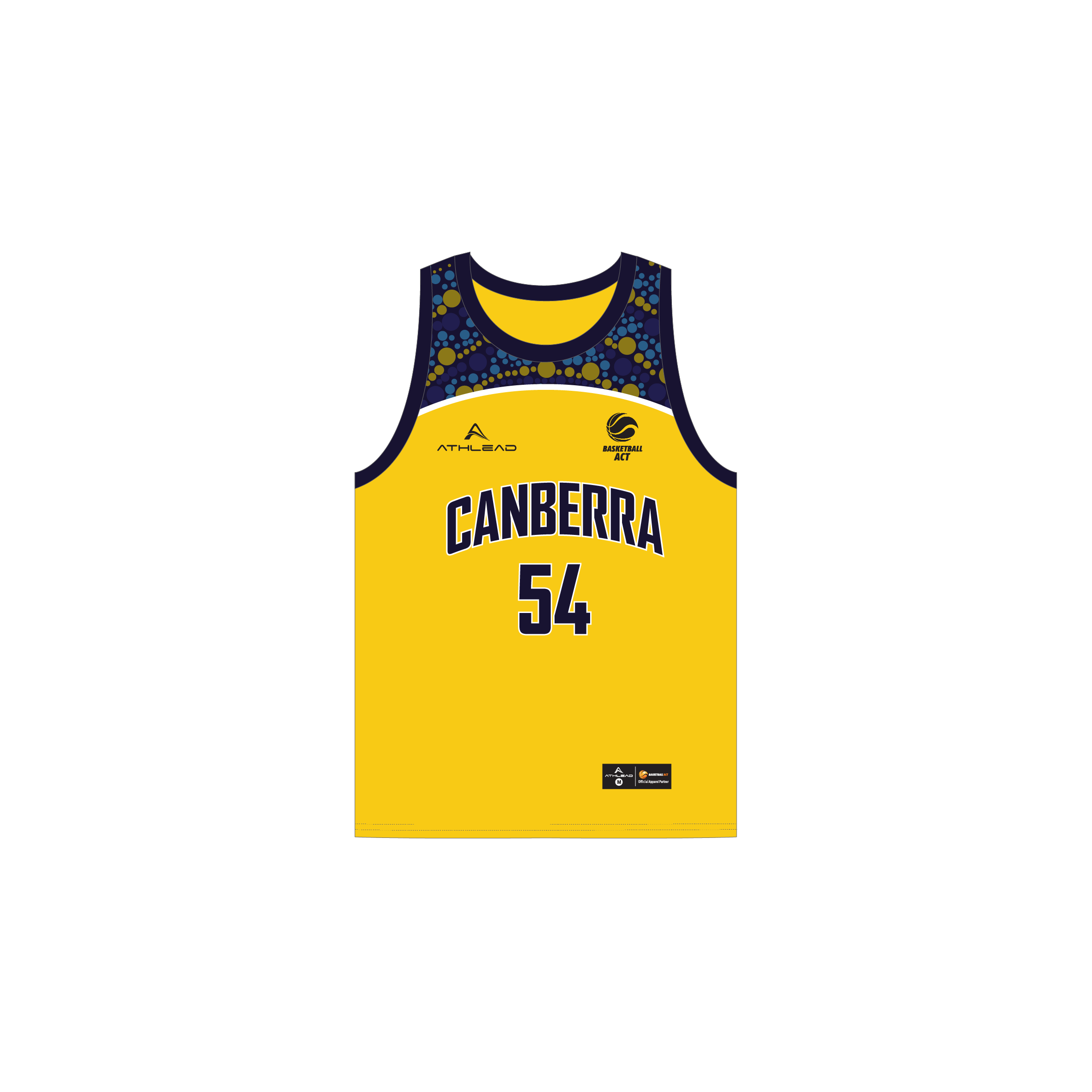 2025 Reversible Playing Singlet image 2