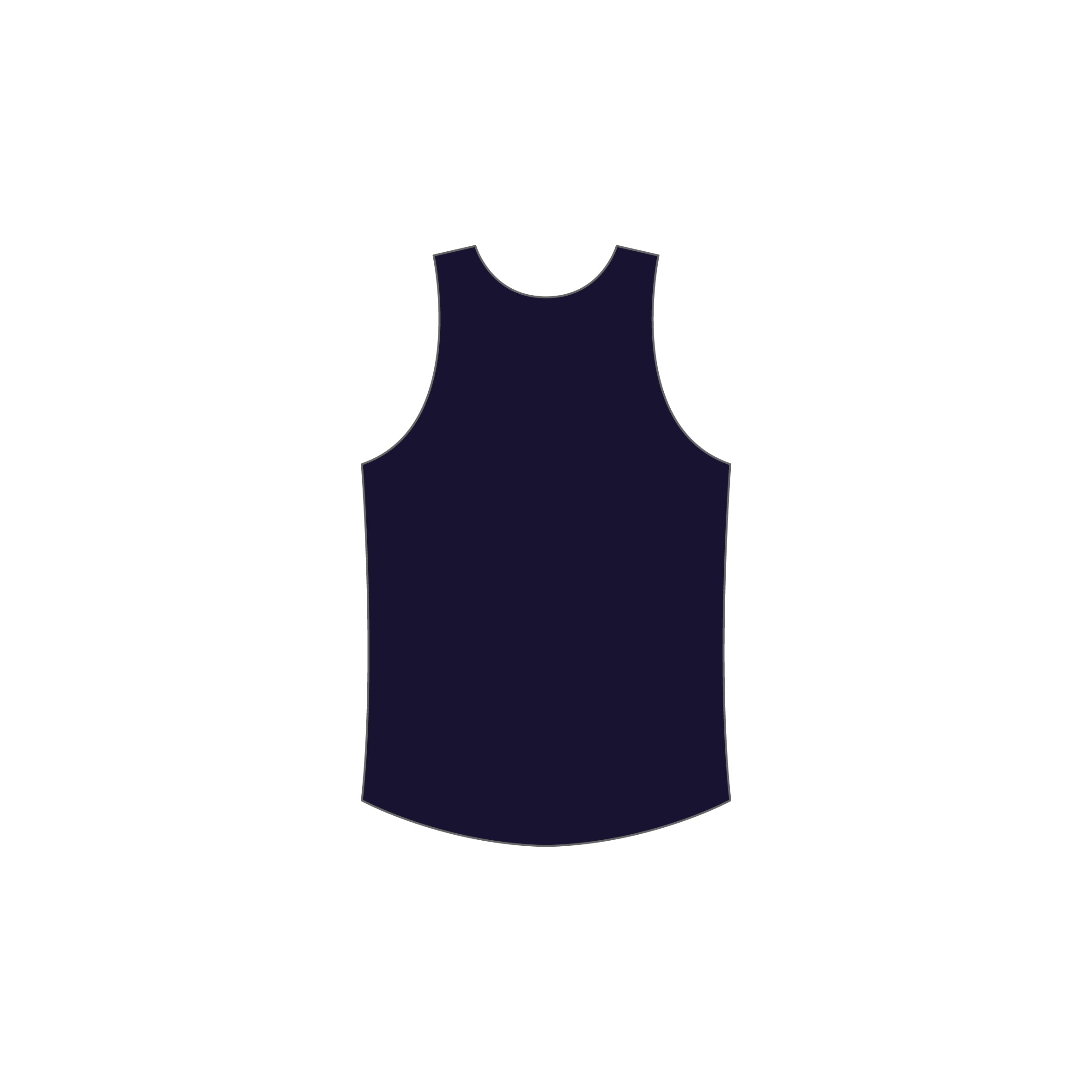 Reversible Training Singlet image 1