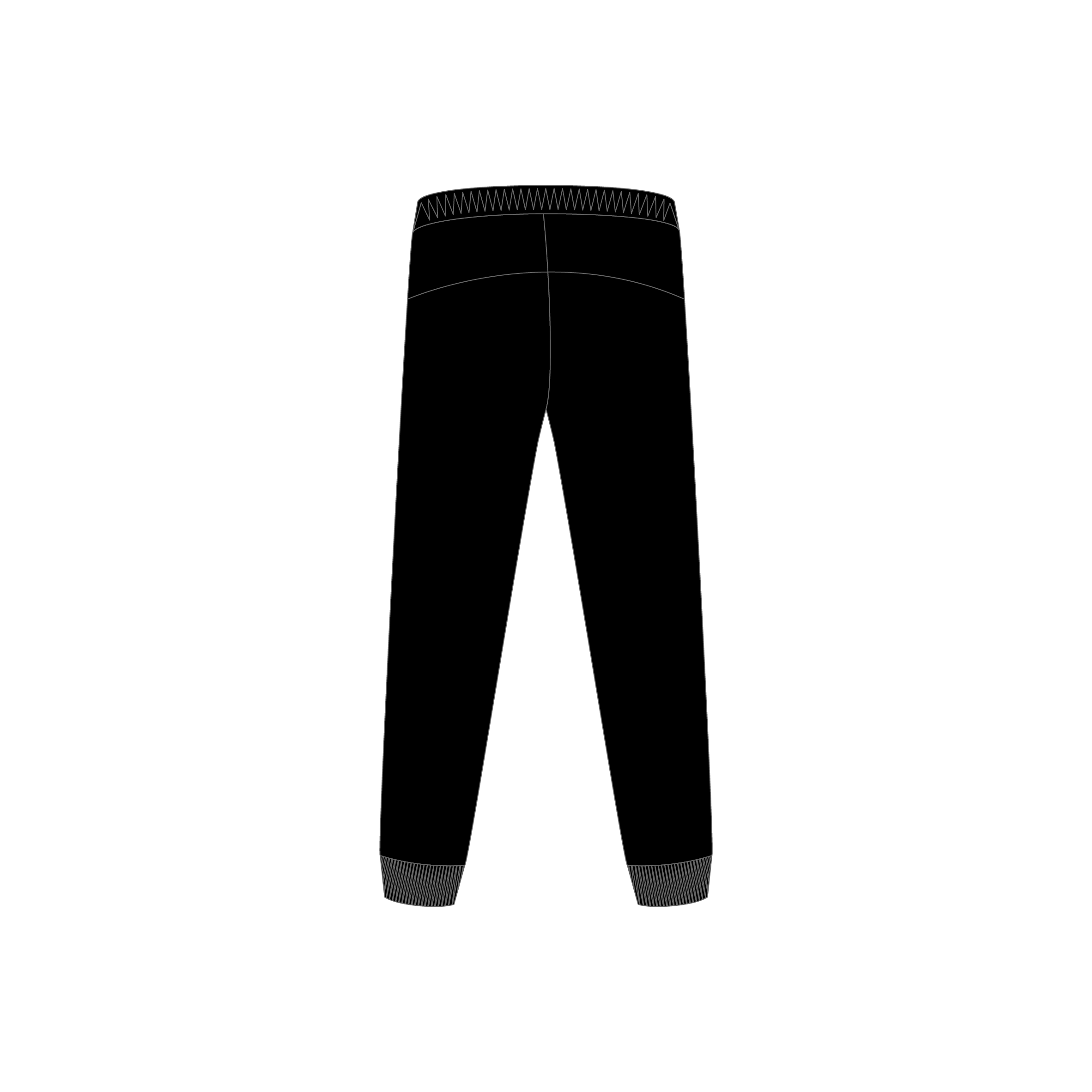 Trackpants image 1