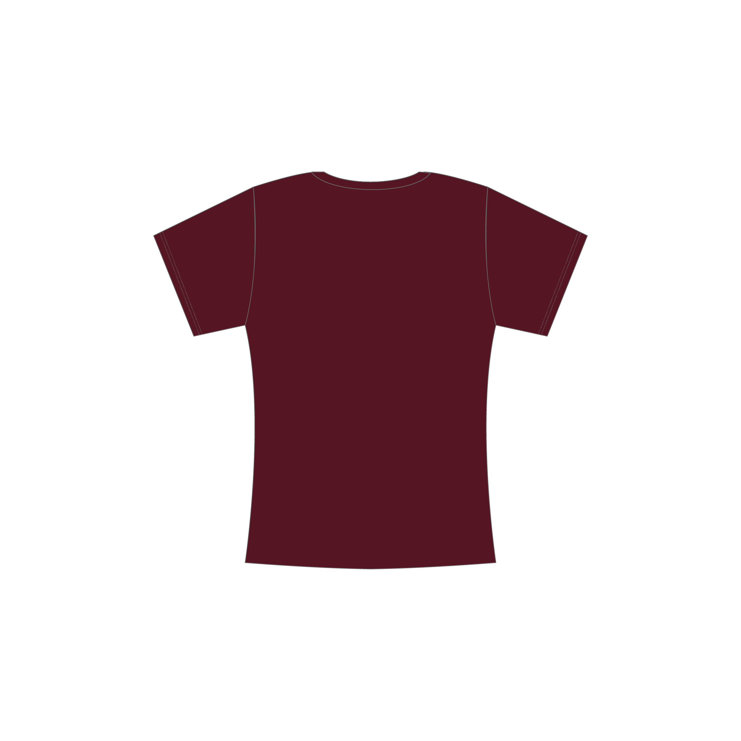 Supporter Tee (Maroon) image 1