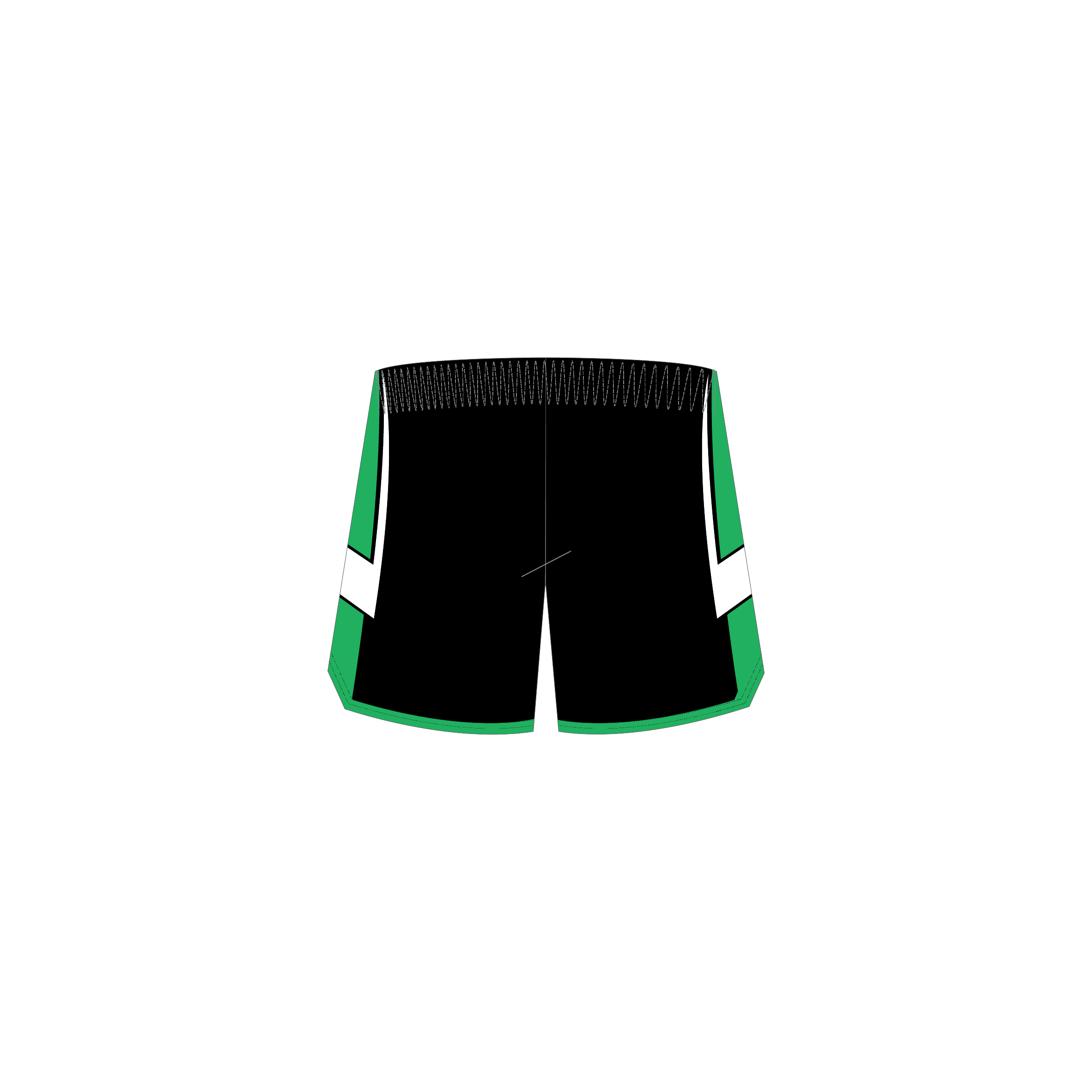 Official Playing Shorts image 1