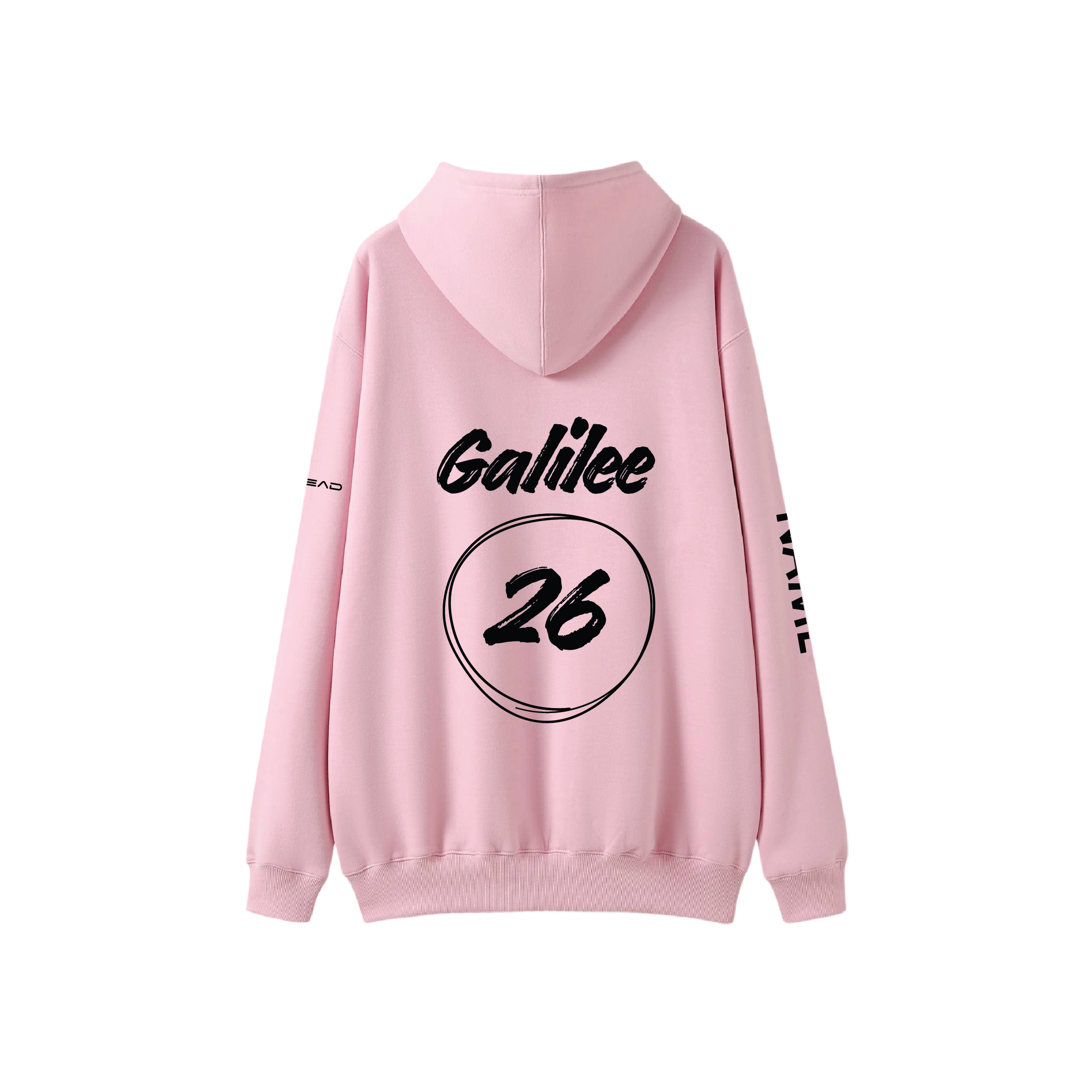 Year 10 2026 Hoodie Light Pink - GALILEE SCHOOL YEAR 10