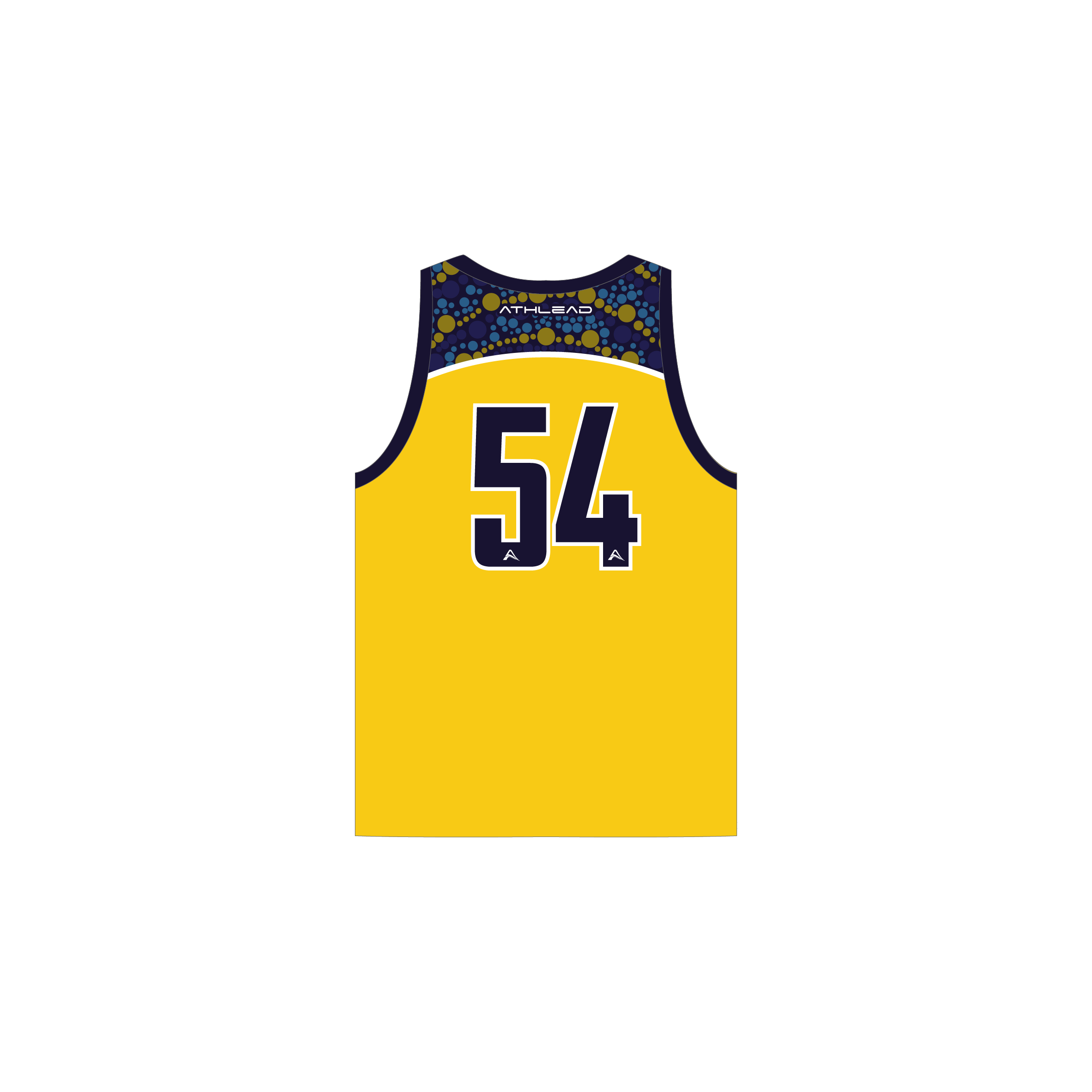 2025 Reversible Playing Singlet image 3