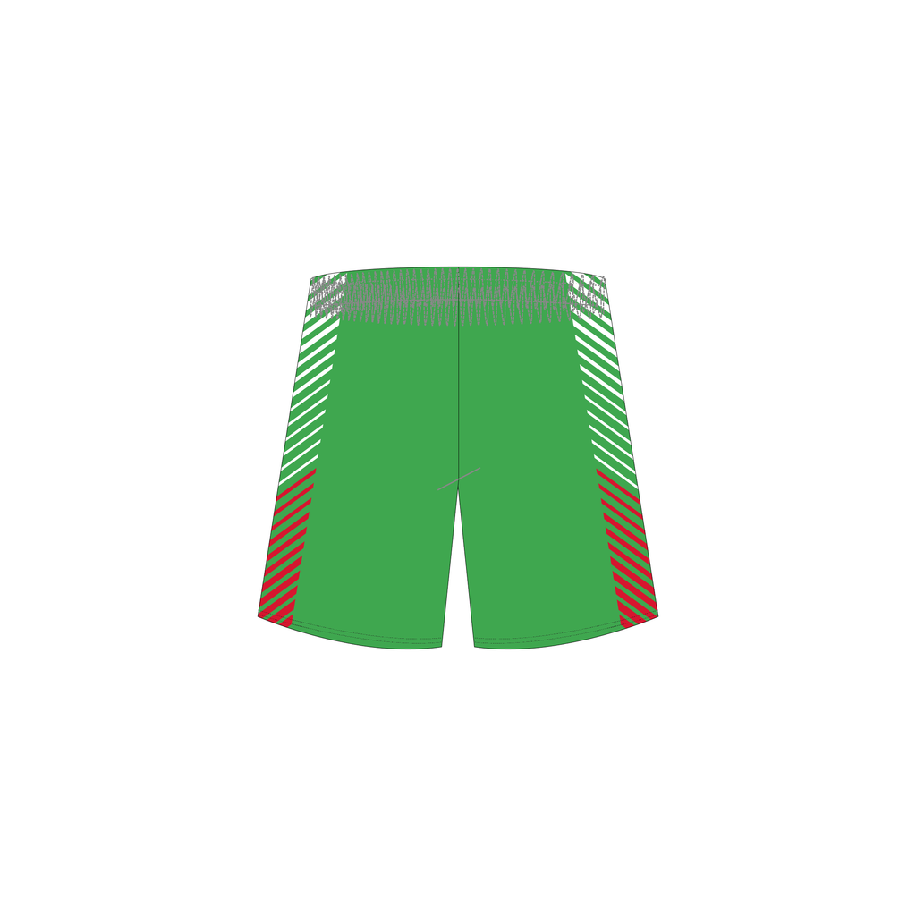 Representative Men's Playing Shorts image 1