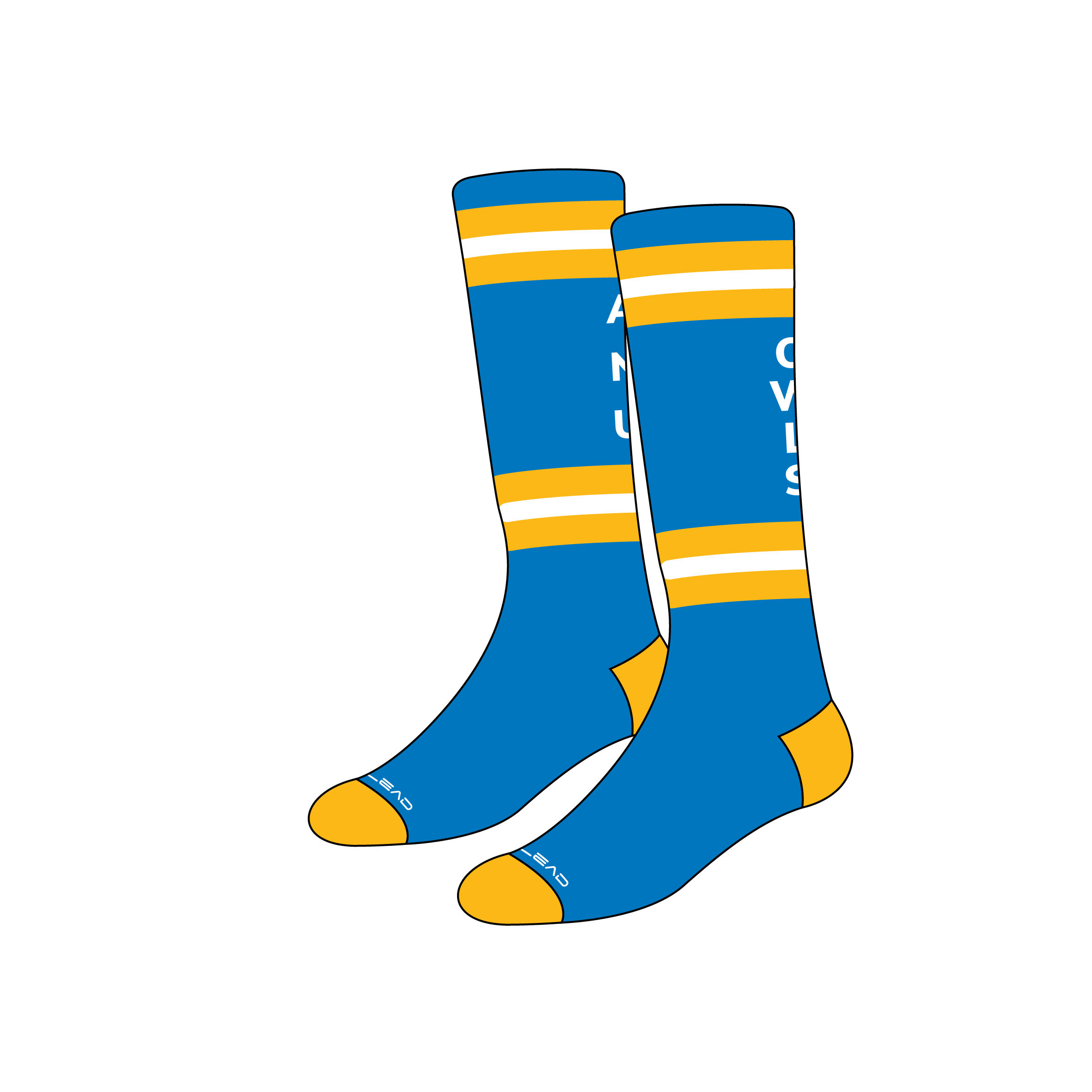 Hockey/Soccer Socks image 0