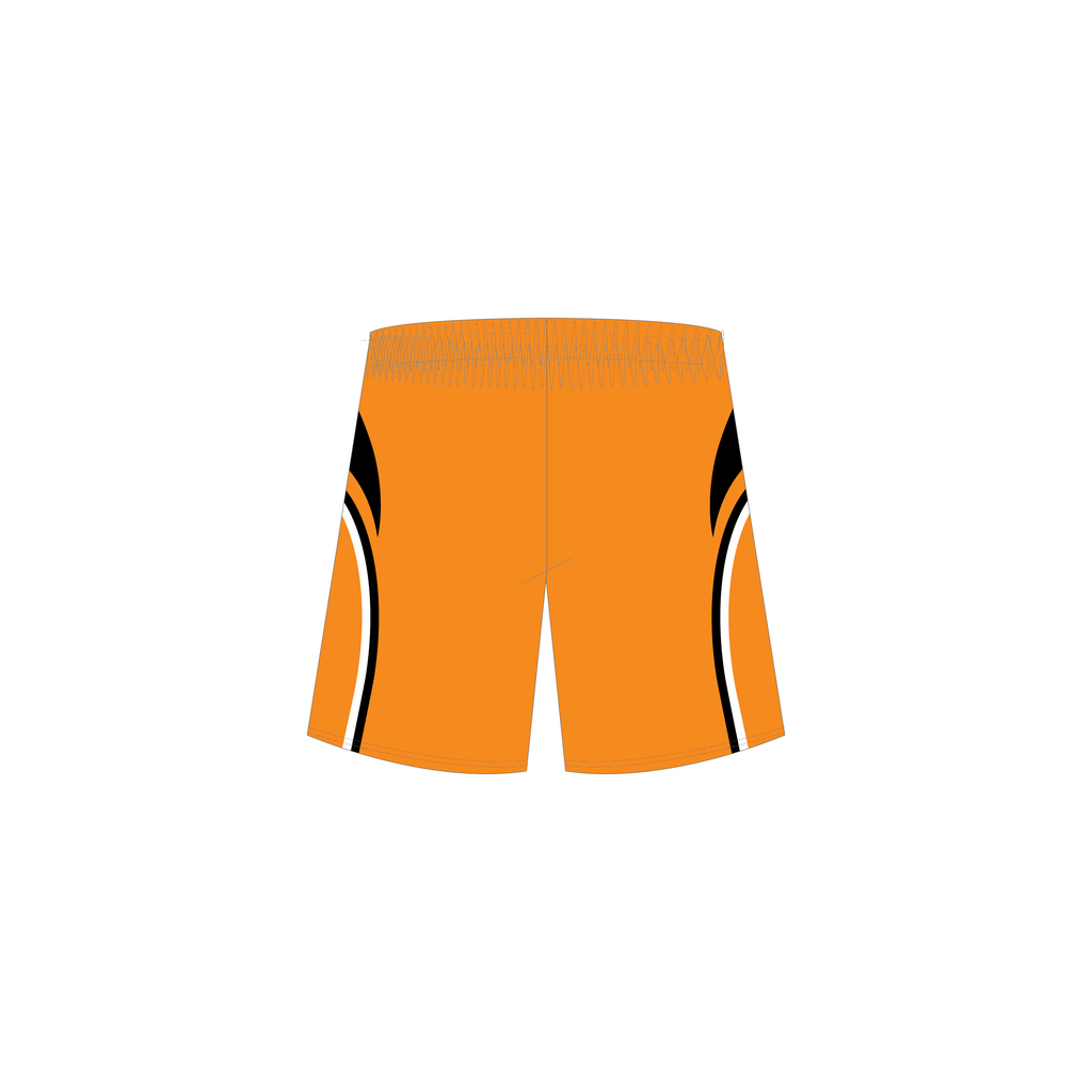 Training Shorts image 1