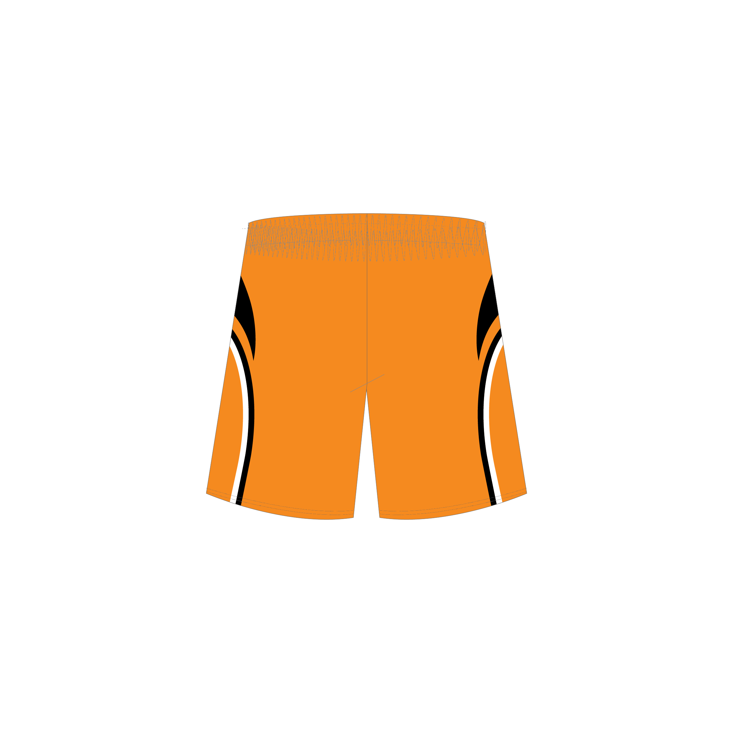 Training Shorts image 1