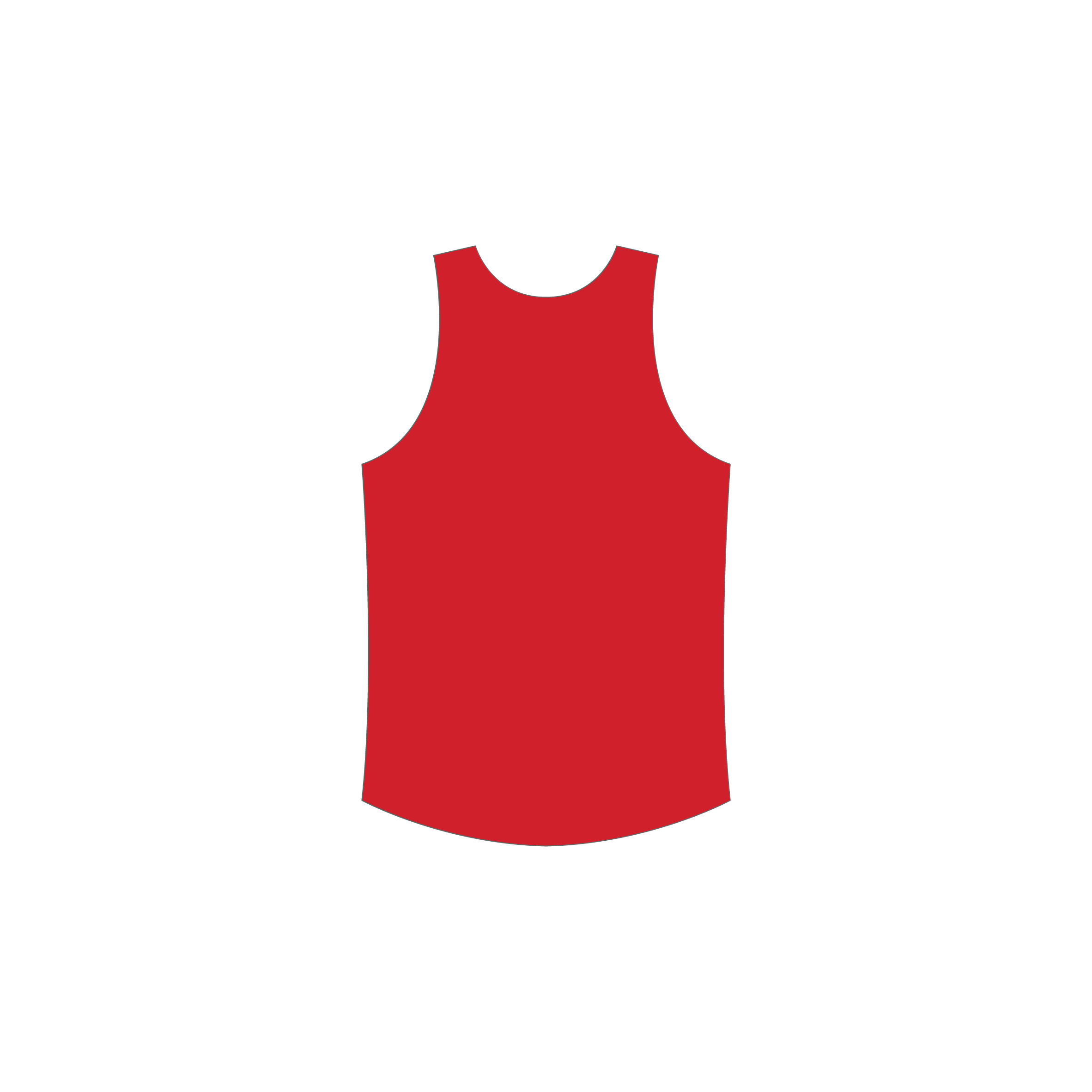 Reversible Training Singlet image 1