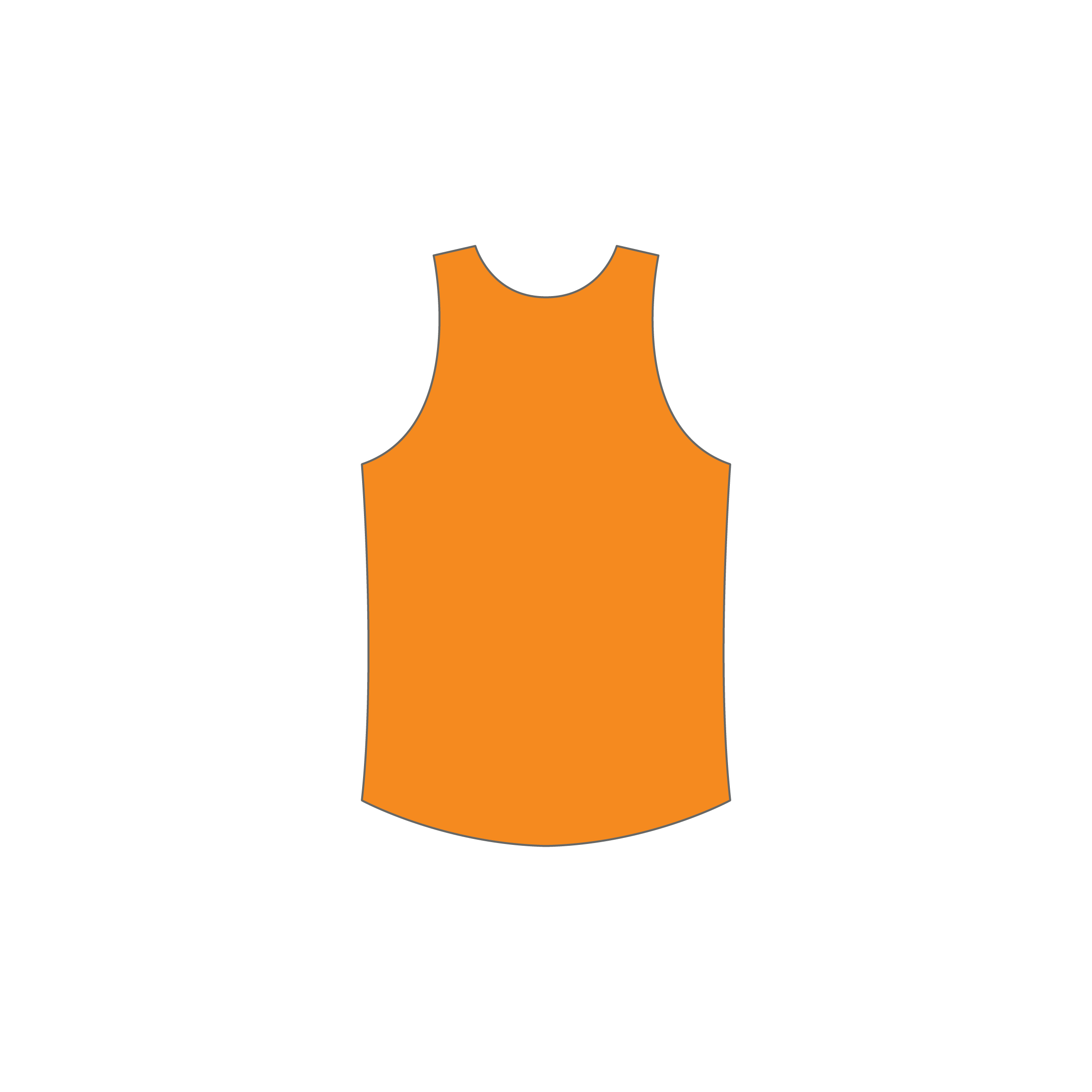 Reversible Training Singlet image 1