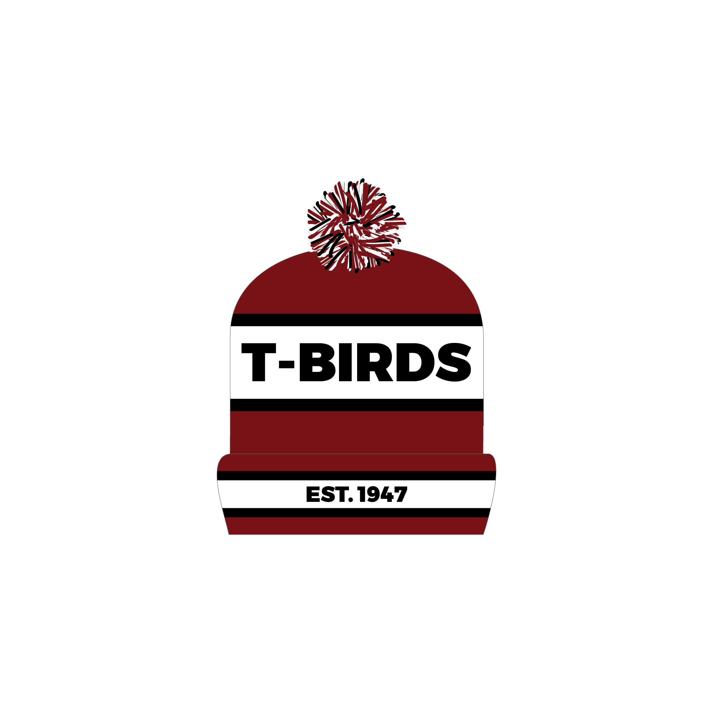 Beanie image 1